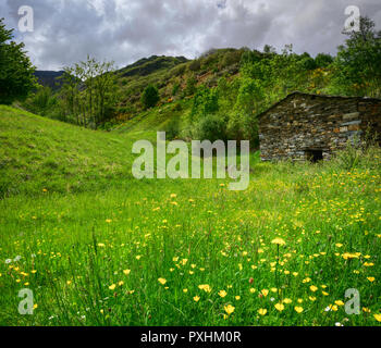 Vecchia casa di pietra in prati fioriti ai piedi della montagna nella Courel mountain range, Galizia Foto Stock