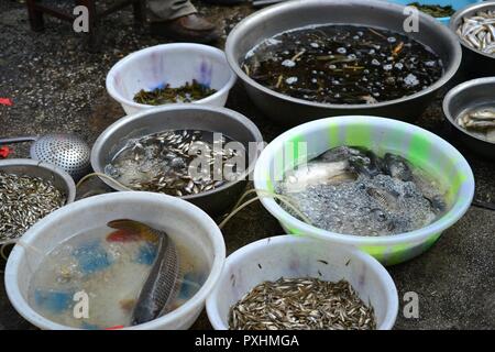 Mercato Zhongyi Shichang, a Lijiang Old town, cinese tradizionale mercato, Yunnan, CINA Foto Stock