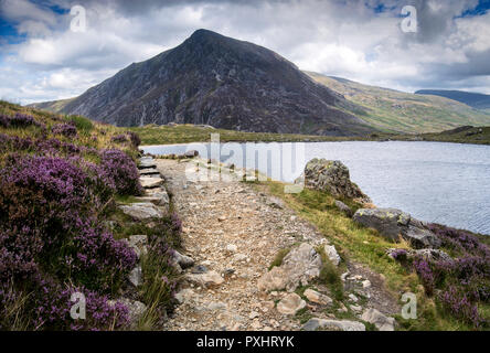 Vista di Llyn Idwal, un piccolo lago all'interno di CWM Idwal nelle montagne Glyderau di Snowdonia, Galles del Nord, con Pen Yr Ole Wen in lontananza Foto Stock