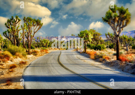 Strada nel Parco nazionale di Joshua Tree. California Foto Stock