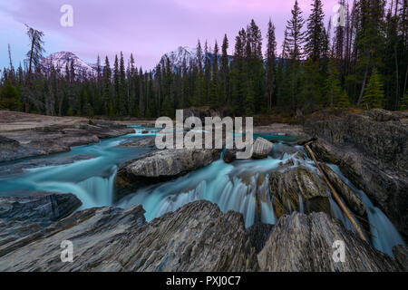 Rosa tramonto sopra il Fiume Kicking Horse fluisce giù dalle montagne, divenne una cascata prima di passare sotto un ponte naturale, Parco Nazionale di Yoho Foto Stock