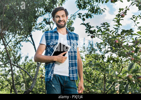 Basso angolo di vista bello l'agricoltore che detiene nel tablet in giardino apple presso l'azienda Foto Stock