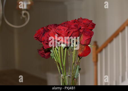 Rose rosse in un vaso all'interno di una casa Foto Stock