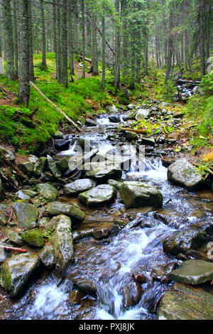 Fiume di montagna con una rapida corrente. Tempestoso fiume di montagna. Flusso di acqua Foto Stock