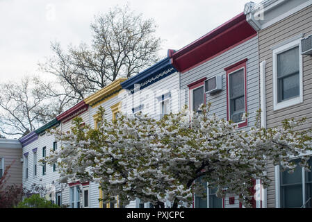 Case Windsor Terrace Brooklyn NYC Foto Stock