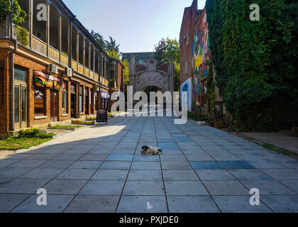 Kutaisi posa e rilassante Medie colorate cane Street View Foto Stock