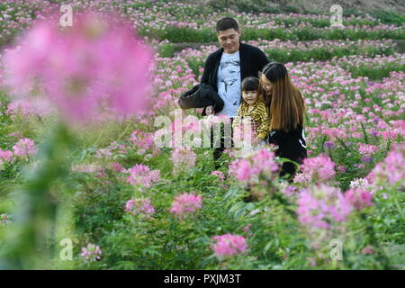 Fuzhou, la Cina della provincia del Fujian. 22 ottobre, 2018. I turisti osservare fiori a Kongyuan villaggio nella contea di Minhou, a sud-est della Cina di provincia del Fujian, Ottobre 22, 2018. Credito: Lin Shanchuan/Xinhua/Alamy Live News Foto Stock