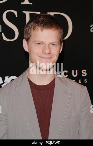 New York, Stati Uniti d'America. 22 ottobre, 2018. Attore Lucas siepi assiste il New York screening di 'Ragazzo cancellate' a Whitby Hotel il 22 ottobre 2018 nella città di New York. Credito: Ron Adar/Alamy Live News Foto Stock