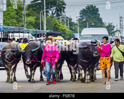 Chonburi, Chonburi, Thailandia. 23 Ott, 2018. Persone mettono il loro bufalo d'acqua per le gare in Chonburi. I concorrenti gara bufalo indiano di acqua di circa 100 metri giù un fangoso subito. Il buffalo gare in Chonburi prima ha avuto luogo nel 1912 per il Re Tailandese Rama VI. Ora le gare si sono evoluti in un festival che segna la fine della Quaresima buddista e si tiene la prima luna piena dell' undicesimo mese lunare (ottobre o novembre). Migliaia di persone sono venute a Chonburi, circa 90 minuti da Bangkok, per le gare e carnevale midway. Credit: Jack Kurtz/ZUMA filo/Alamy Live News Foto Stock