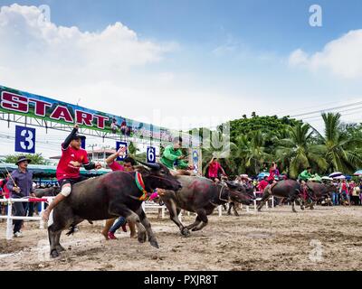 Chonburi, Chonburi, Thailandia. 23 Ott, 2018. L'inizio di un bufalo gara in Chonburi. I concorrenti gara bufalo indiano di acqua di circa 100 metri giù un fangoso subito. Il buffalo gare in Chonburi prima ha avuto luogo nel 1912 per il Re Tailandese Rama VI. Ora le gare si sono evoluti in un festival che segna la fine della Quaresima buddista e si tiene la prima luna piena dell' undicesimo mese lunare (ottobre o novembre). Migliaia di persone sono venute a Chonburi, circa 90 minuti da Bangkok, per le gare e carnevale midway. Credit: Jack Kurtz/ZUMA filo/Alamy Live News Foto Stock