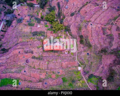 Chengdu, in Cina. 23 Ott, 2018. Chengdu, Cina-Peach Blossoms a Longquan Mountain a Chengdu, Cina sud-occidentale della provincia di Sichuan. Credito: SIPA Asia/ZUMA filo/Alamy Live News Foto Stock