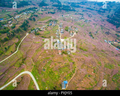 Chengdu, in Cina. 23 Ott, 2018. Chengdu, Cina-Peach Blossoms a Longquan Mountain a Chengdu, Cina sud-occidentale della provincia di Sichuan. Credito: SIPA Asia/ZUMA filo/Alamy Live News Foto Stock