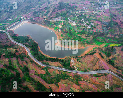 Chengdu, in Cina. 23 Ott, 2018. Chengdu, Cina-Peach Blossoms a Longquan Mountain a Chengdu, Cina sud-occidentale della provincia di Sichuan. Credito: SIPA Asia/ZUMA filo/Alamy Live News Foto Stock