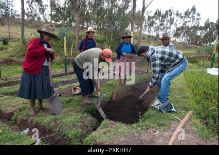 Il Maras progetto funziona a riabilita ancestrale dei sistemi di agroforestry nella zona e il "comunidades' s coinvolti dedicare un giorno alla settimana per lavorare in Foto Stock