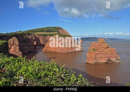 Le rocce rosse di Ladram Bay, vicino a Sidmouth, nel Devon, Regno Unito Foto Stock