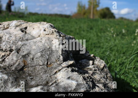 Solida roccia su campo Foto Stock