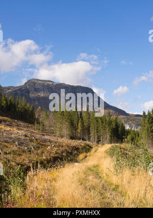 Percorso a piedi attraverso un paesaggio aperto, panorama a Hemsedal mountain valley in Norvegia, arricchita dall'autunno bello e mite colous nel mese di settembre Foto Stock