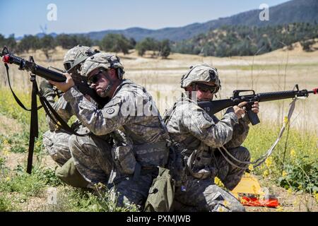 Stati Uniti I soldati dell esercito dal trasporto 822nd distacco (TD) fuori Brockton, Massachusetts, fornire 360 gradi di protezione per un improvvisato dispositivo esplosivo (IED) formazione sulla Fort Hunter Liggett, la California il 15 giugno 2017. IED formazione fa parte della 91a Divisione di formazione era il Guerriero Esercizio (WAREX) 91-17-03, un collettivo di piattaforma di formazione che prepara i soldati per combattere immergendoli in realistici scenari di combattimento; qui l'822nd TD può essere completamente preparati in caso di un vero e proprio attacco di IED. Foto Stock