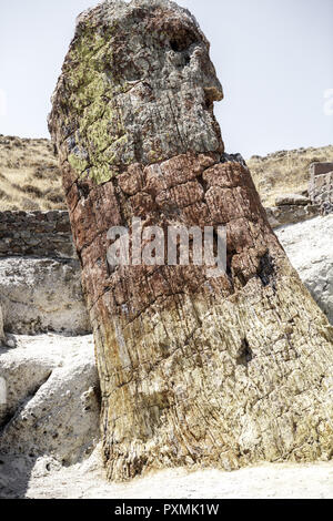 Griechenland, Insel Lesbo, Sigri, Baumstumpf, versteinert, Baum, Baumstamm, alt Naturschutzpark Apolithomeno Dasos, Versteinerung, Berglandschaft, E Foto Stock