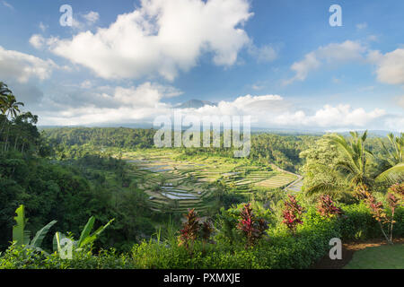 Vista dei terrazzi di riso e Gunung Agung vulcano, Rendang, Bali, Indonesia Foto Stock