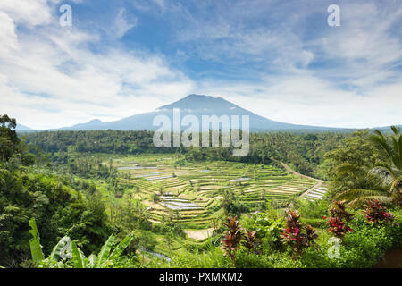 Vista dei terrazzi di riso e Gunung Agung vulcano, Rendang, Bali, Indonesia Foto Stock