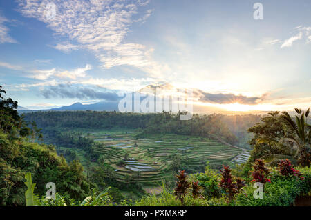 Vista dei terrazzi di riso e Gunung Agung vulcano di sunrise, Rendang, Bali, Indonesia Foto Stock