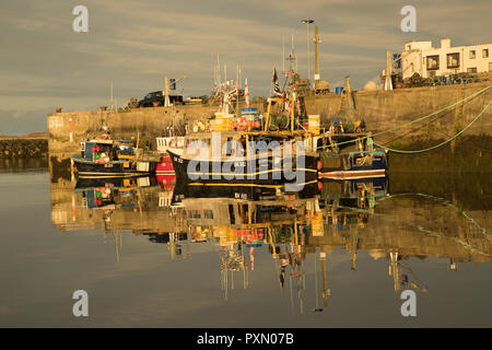 Sole di sera su imbarcazioni da pesca nel porto di Seahouses, Northumberland, Inghilterra Foto Stock