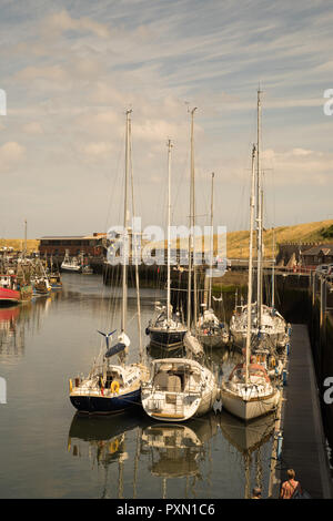 Barche da pesca in porto a Eyemouth, Berwickshire, Scozia Foto Stock