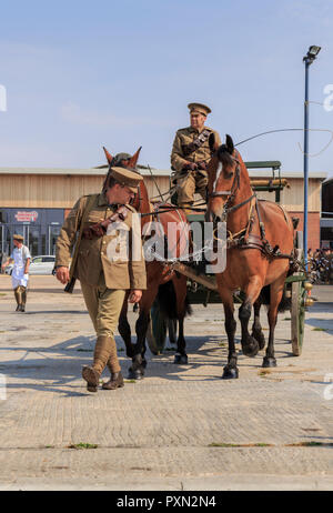 Due piloti dal Royal Army Veterinary Corps nella prima guerra mondiale autentica uniformi, accompagnare un WW1 cavallo ambulanza e WW1 chirurgo veterinario Foto Stock