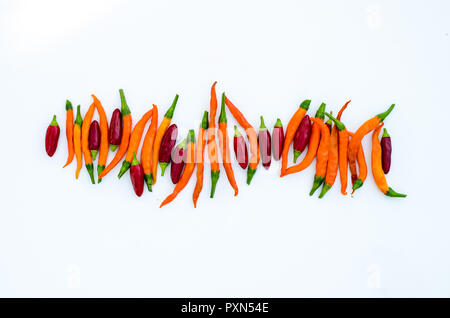 Spicy Red e orange peperoncino verdura disposti in linea isolato Foto Stock
