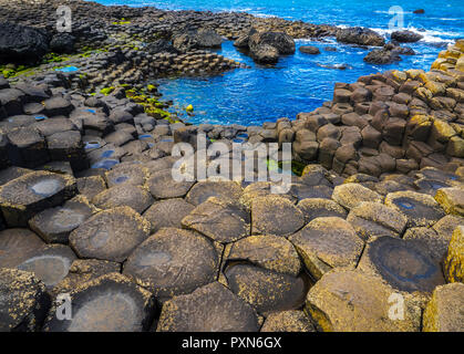 BUSHMILLS, NORTHER IRLANDA - Luglio 13, 2016 Giant's Causeway. Sessanta milioni di anni fa in Antrim è stata oggetto di intense attività vulcanica un questo è il re Foto Stock