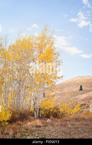 Paesaggio autunnale con alberi, cielo blu e nuvole. Foto Stock