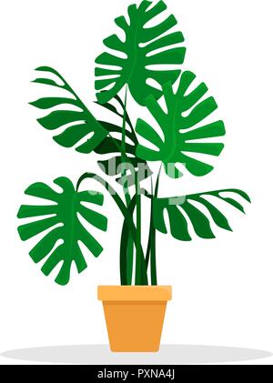 Appartamento illustrazione vettoriale. Monstera houseplant in un vaso di ceramica. Un isolato la figura. Illustrazione Vettoriale