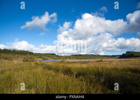 Vista panoramica sul lago Meenameen del Lough Navar Forest in Co. Fermanagh, Irlanda del Nord Foto Stock
