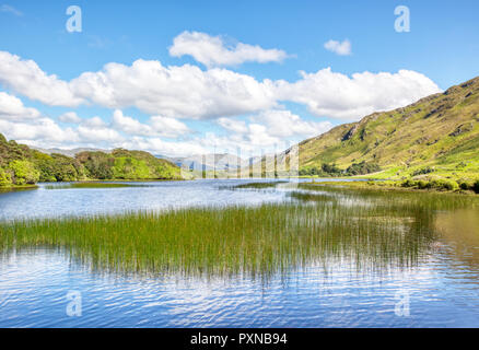 Pollacappall Lough in Kylemore area di Connemara nella Contea di Galway, Irlanda. Foto Stock