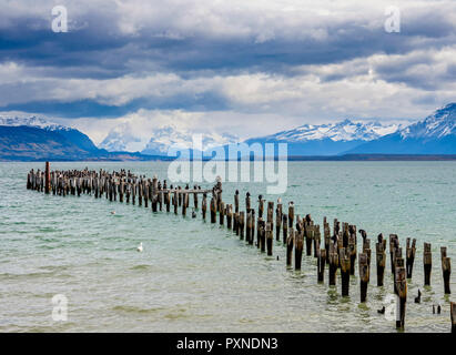Gaffos Pier, Ammiraglio Montt golfo, Puerto Natales, Ultima Esperanza Provincia, Patagonia, Cile Foto Stock