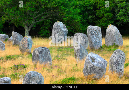 Francia, Bretagna Morbihan, Carnac, megalitico allineamenti di menhir di Menec Foto Stock