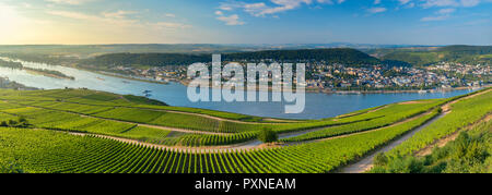 Vista di Bingen, vigneti e il fiume Reno, Rudesheim, Renania-Palatinato, Germania Foto Stock