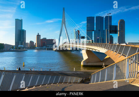 Ponte Erasmus (Erasmusbrug), Rotterdam, Zuid Holland, Paesi Bassi Foto Stock