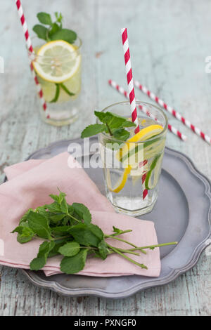 Bicchieri di acqua infusa con succo di limone, lime e menta Foto Stock