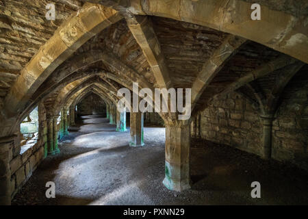 Finchale Priory, Durham, England, Regno Unito, Europa Foto Stock