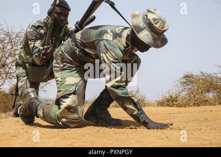 Soldati con il Senegal di quinta contingente in Mali ricerca di potenziali esplosivi improvvisati indicatori del dispositivo durante una delle operazioni di mantenimento della pace di formazione missionaria a fianco degli Stati Uniti Marines con scopi speciali Air-Ground Marine Task Force - Risposta in caso di crisi - Africa a Thies, Senegal, Giugno 6, 2017. Marines e marinai con SPMAGTF-CR-AF è servita come istruttori e progettato il corso di formazione per migliorare il soldato' abilità per distribuire con successo a sostegno delle Nazioni Unite alle missioni di mantenimento della pace nel continente. Foto Stock