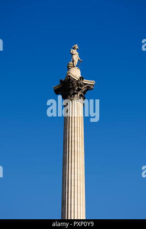 Nelsons Column, Trafalgar Square, London, England, Regno Unito Foto Stock