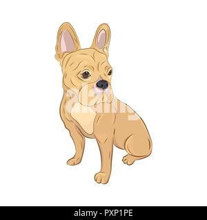 Bulldog francese guardando lateralmente. Razza canina disegnati a mano illustrazione. Il beige bulldog francese seduta isolato su sfondo bianco. Illustrazione Vettoriale
