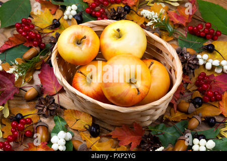 Caduta abbondanza cornucopia concetto con le mele nel cesto di vimini e foglie Foto Stock