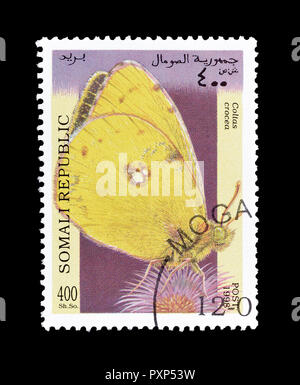 Annullato francobollo stampato dal Sahara, che mostra il bianco marmo butterfly, circa 1998. Foto Stock