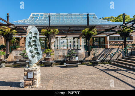 Giardini Botanici di Kirstenbosch, Newlands, Città del Capo, Sud Africa Foto Stock