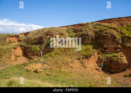 Rolling Bank Quarry SSSI su Cleeve Hill vicino a Cheltenham, Gloucestershire, Inghilterra Foto Stock