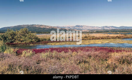 Montenegro - una vista in corrispondenza di una porzione del Parco Naturale di Solana Ulcinj (Ulcinj Saltern) Foto Stock