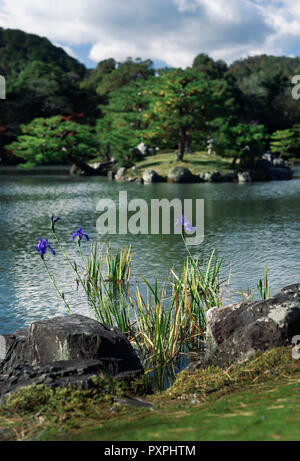 Blu Iris giapponesi fiori da lo stagno in un tranquillo paesaggio di un giapponese giardino Zen. Rokuon-ji, Kyoto, Giappone. Foto Stock